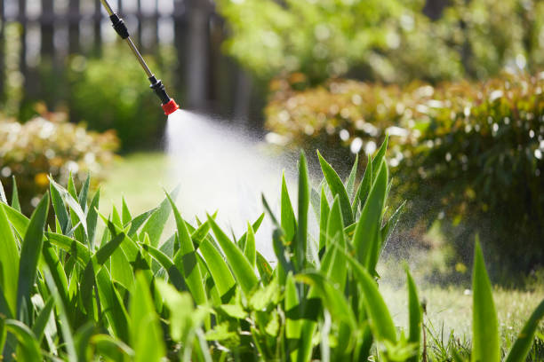 24/7 Emergency Wasp Removal experts in Rockwell, NC