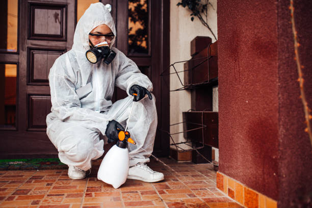 Reliable Wasp Removal contractor in Rockwell, NC by Show Me Pest Control